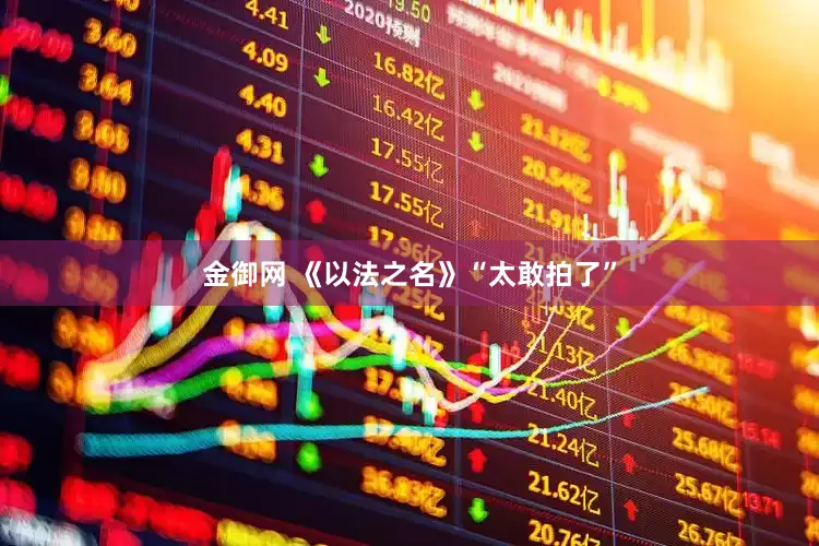金御网 《以法之名》“太敢拍了”