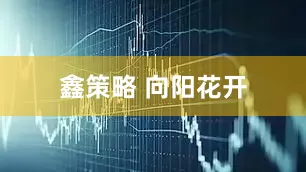 鑫策略 向阳花开