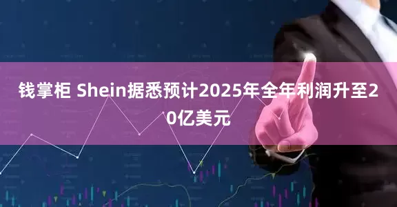 钱掌柜 Shein据悉预计2025年全年利润升至20亿美元